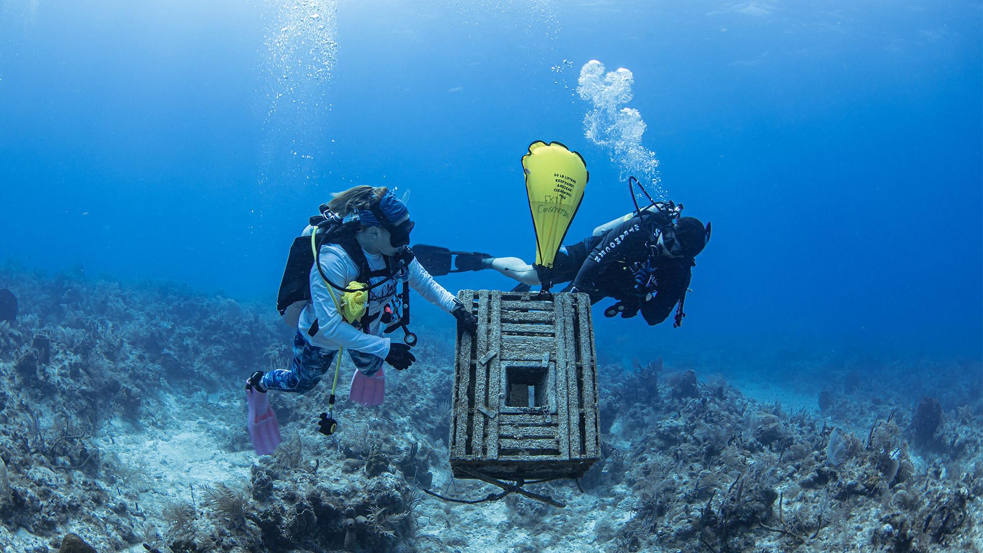 two divers giving attention to conservation