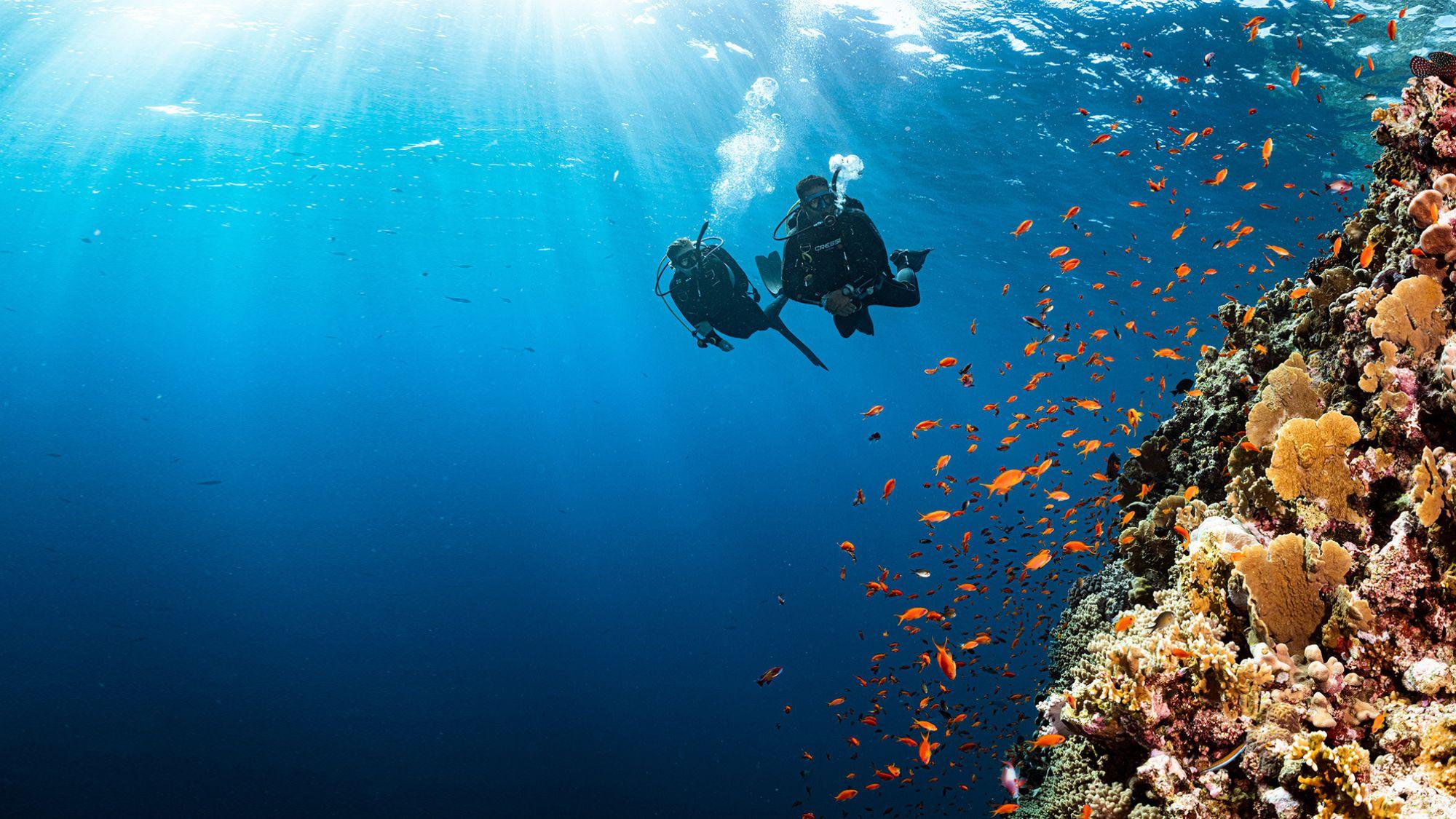 two divers underwater