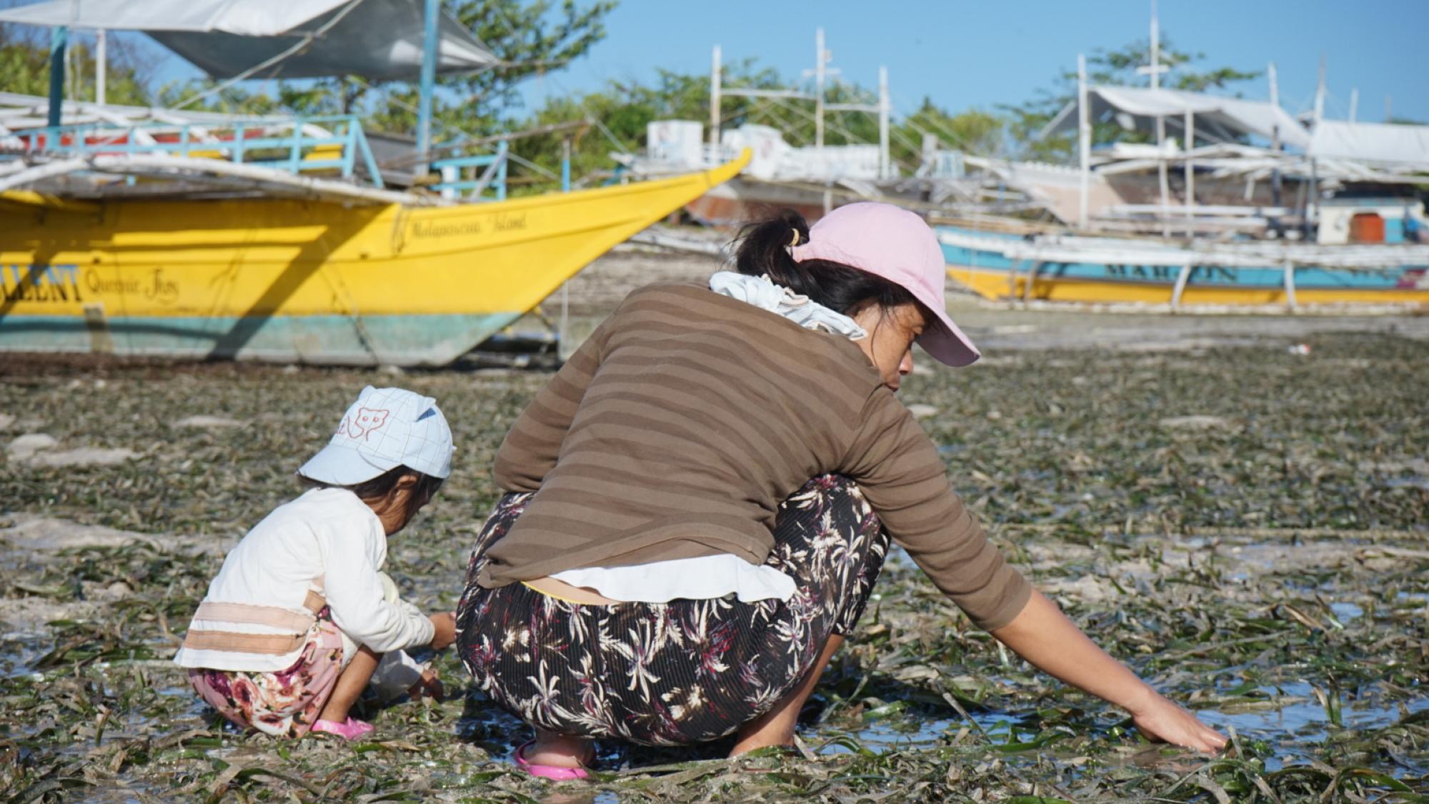 People and the Sea - Women and Child Seagrass Gleaning.