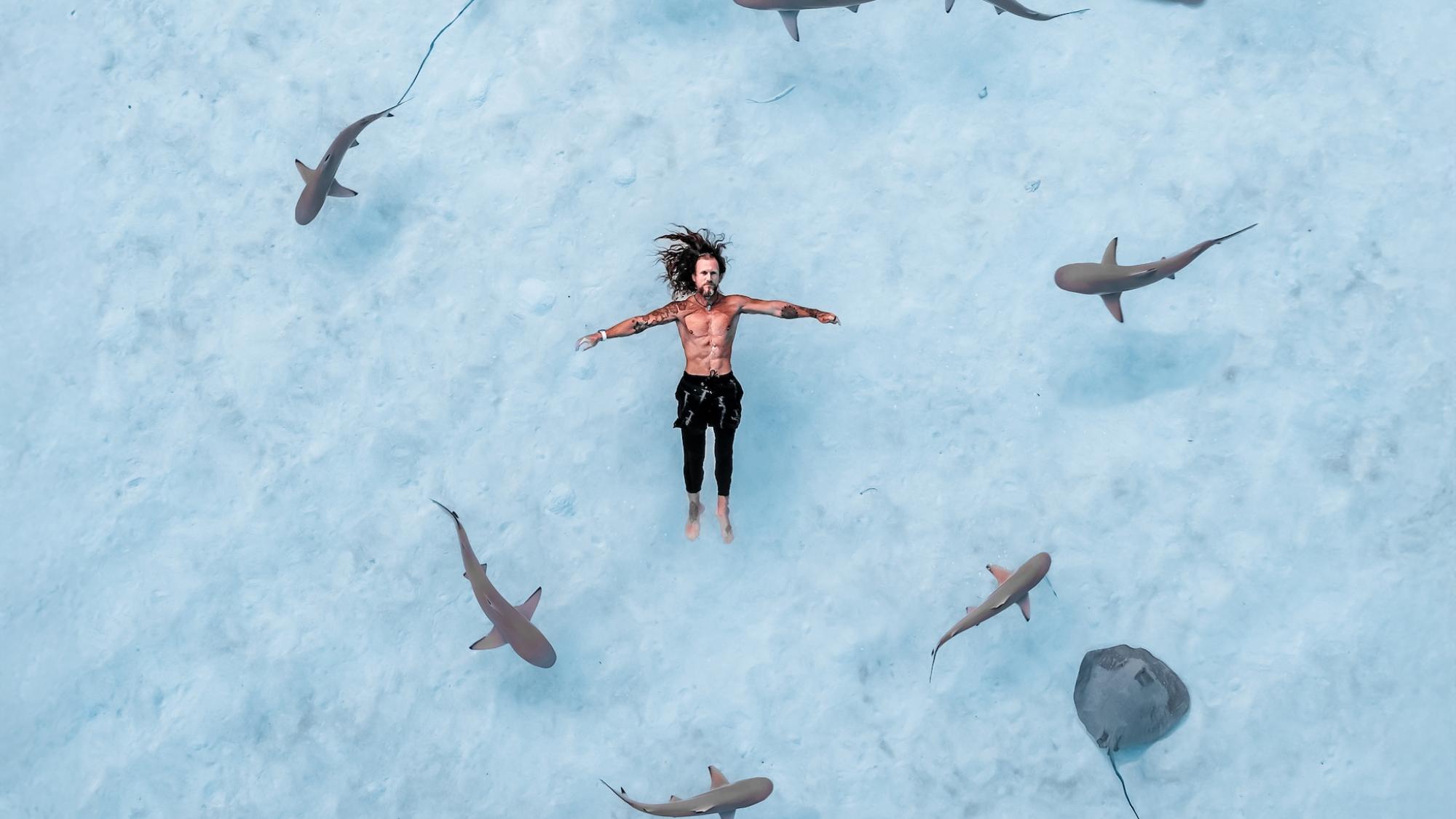 Andre Smits swimming with rays and sharks