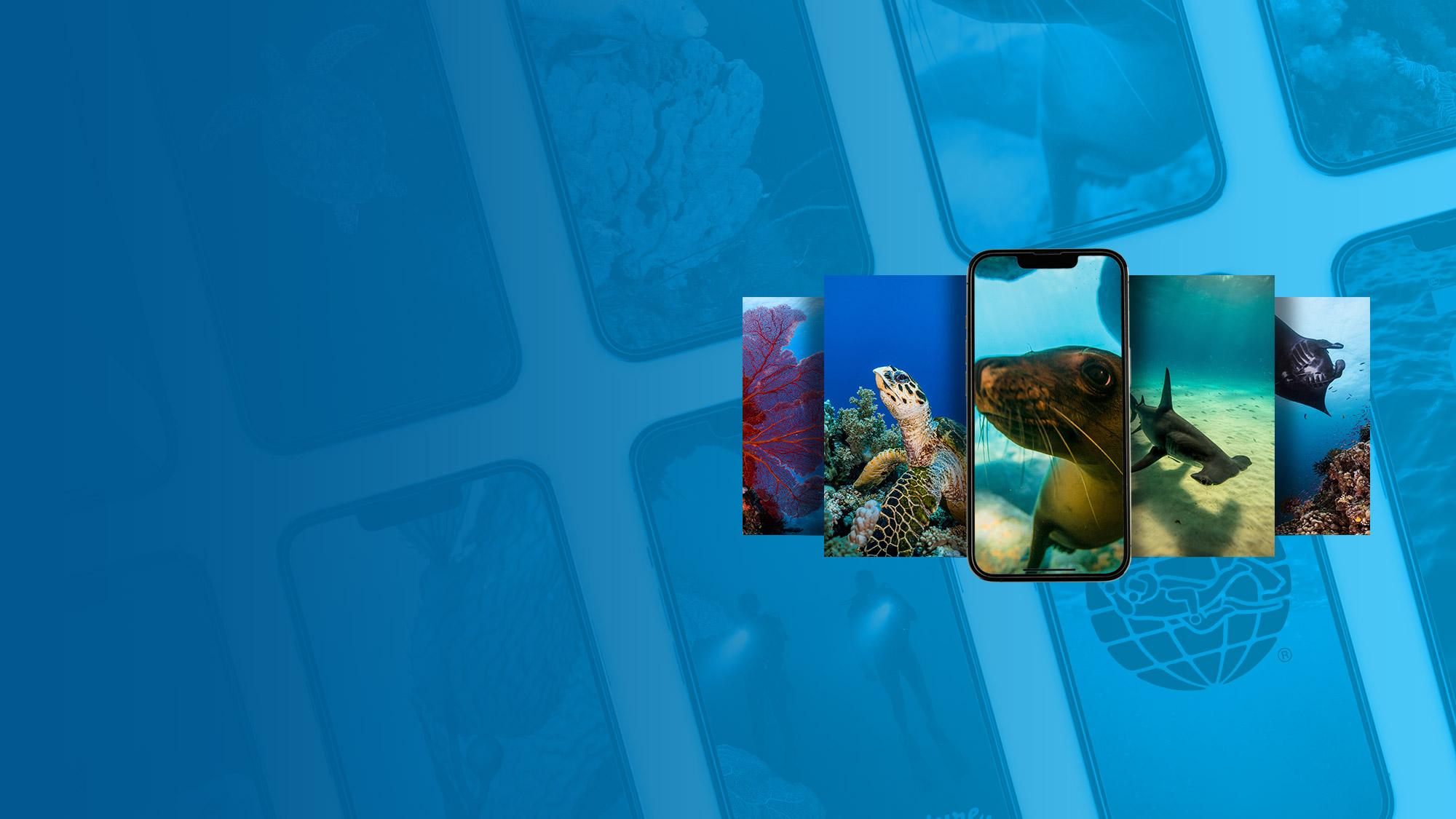 PADI Downloadable Mobile Screensavers