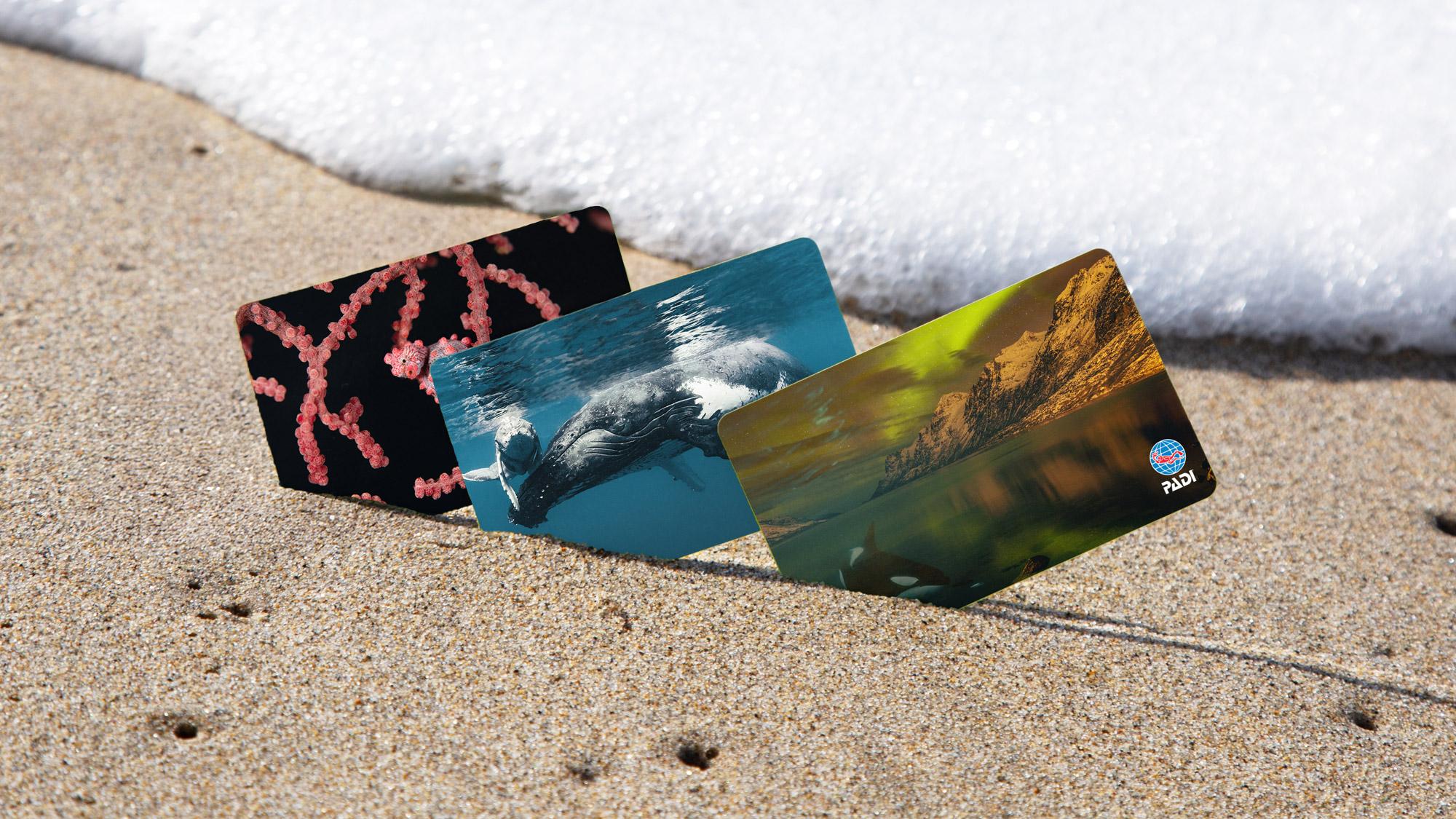 New PADI Certification Cards