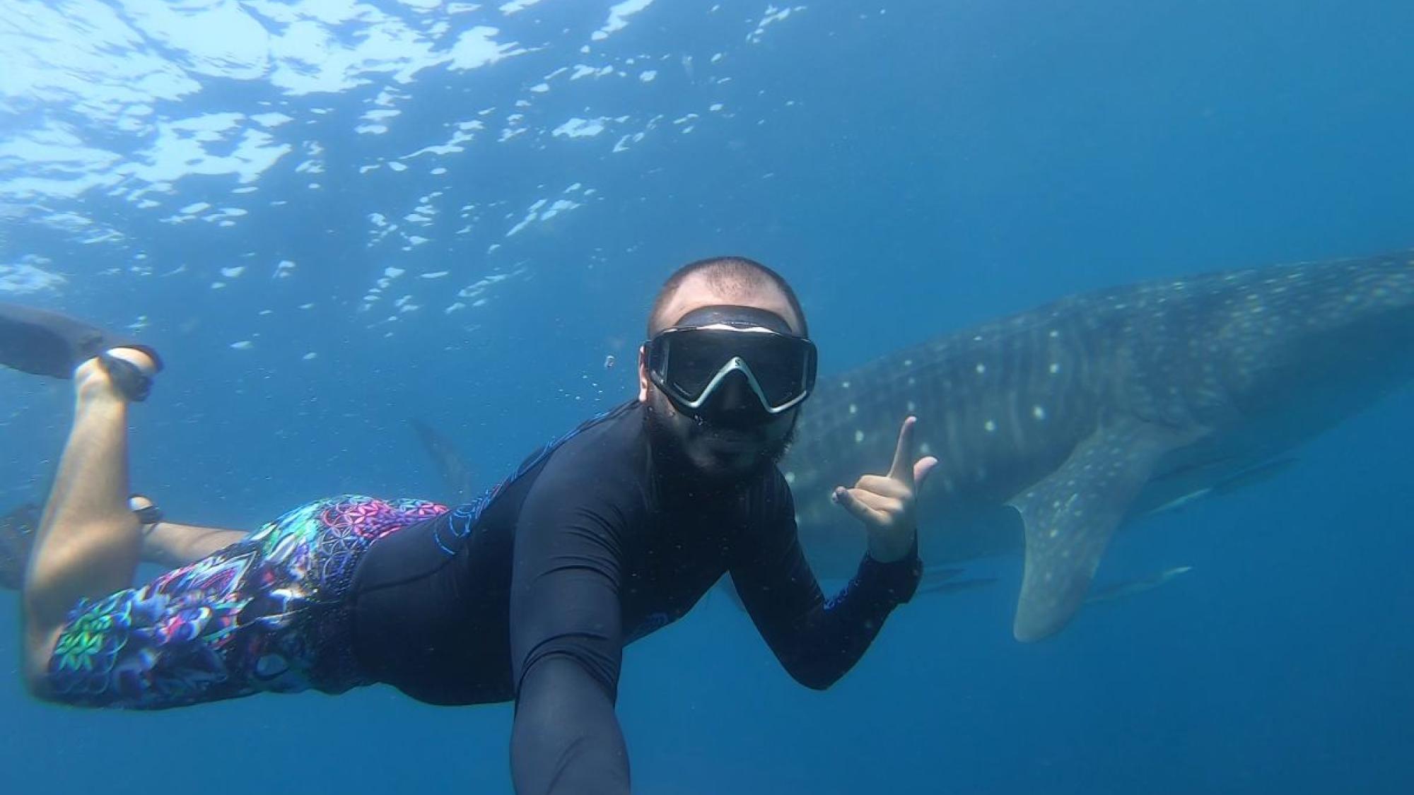 Hassan Khaual swimming with Whale Shark