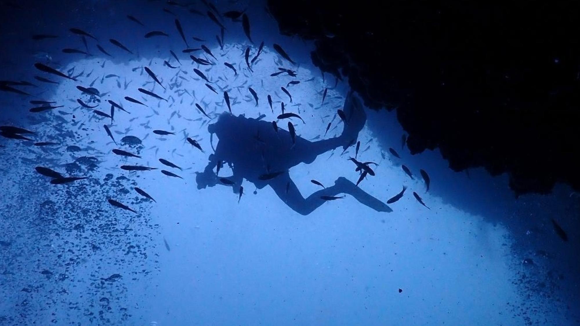 Brandon for Junior PADI AmbassaDivers