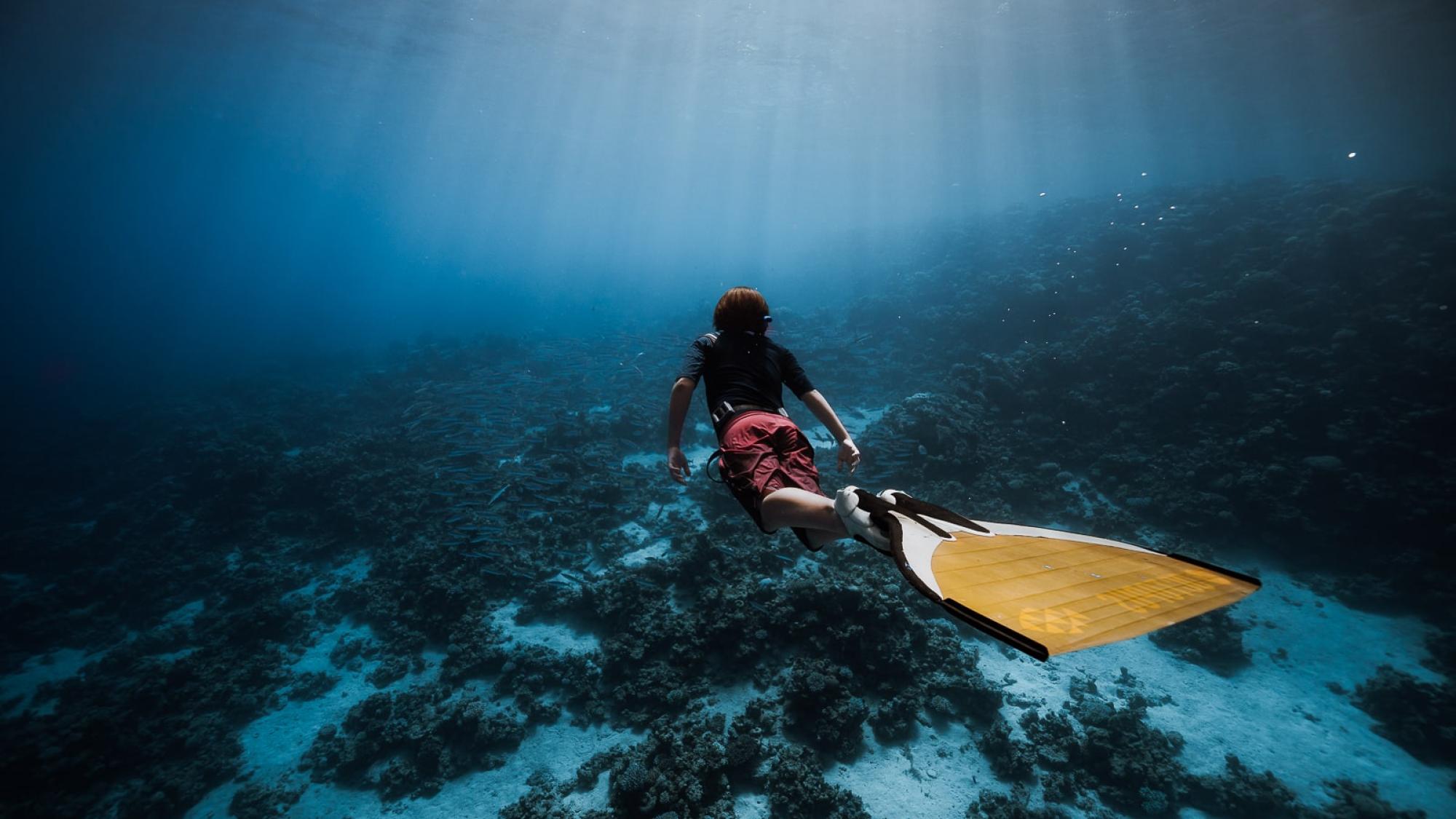 Lennox for Junior PADI AmbassaDivers