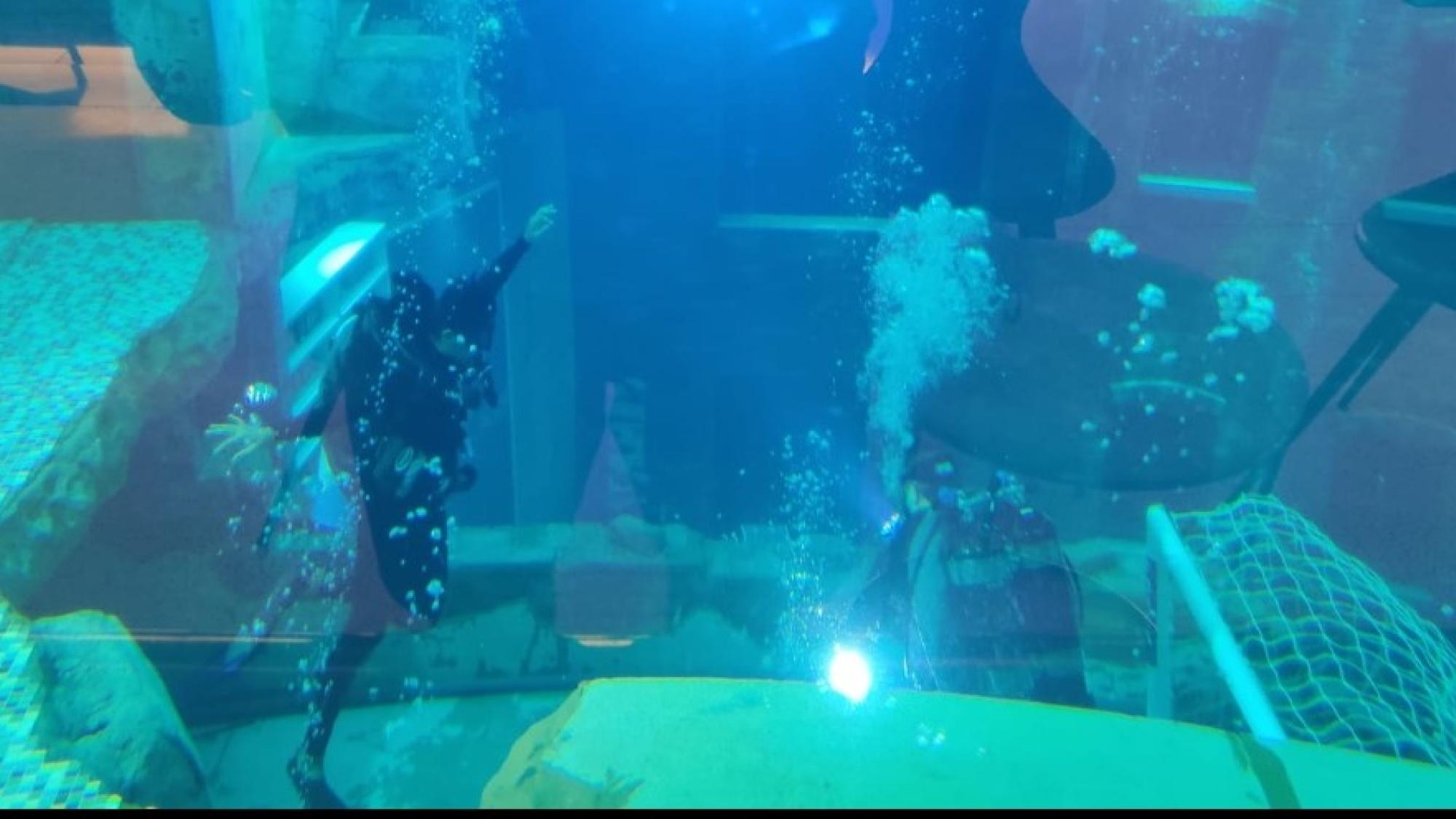 Ashrita for Junior PADI AmbassaDivers