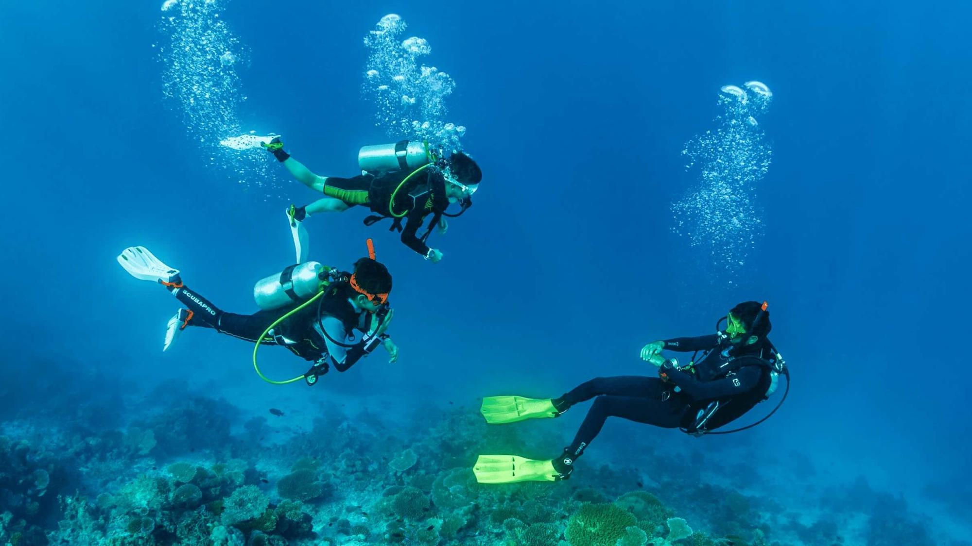 Kian and Dorian for Junior PADI AmbassaDivers