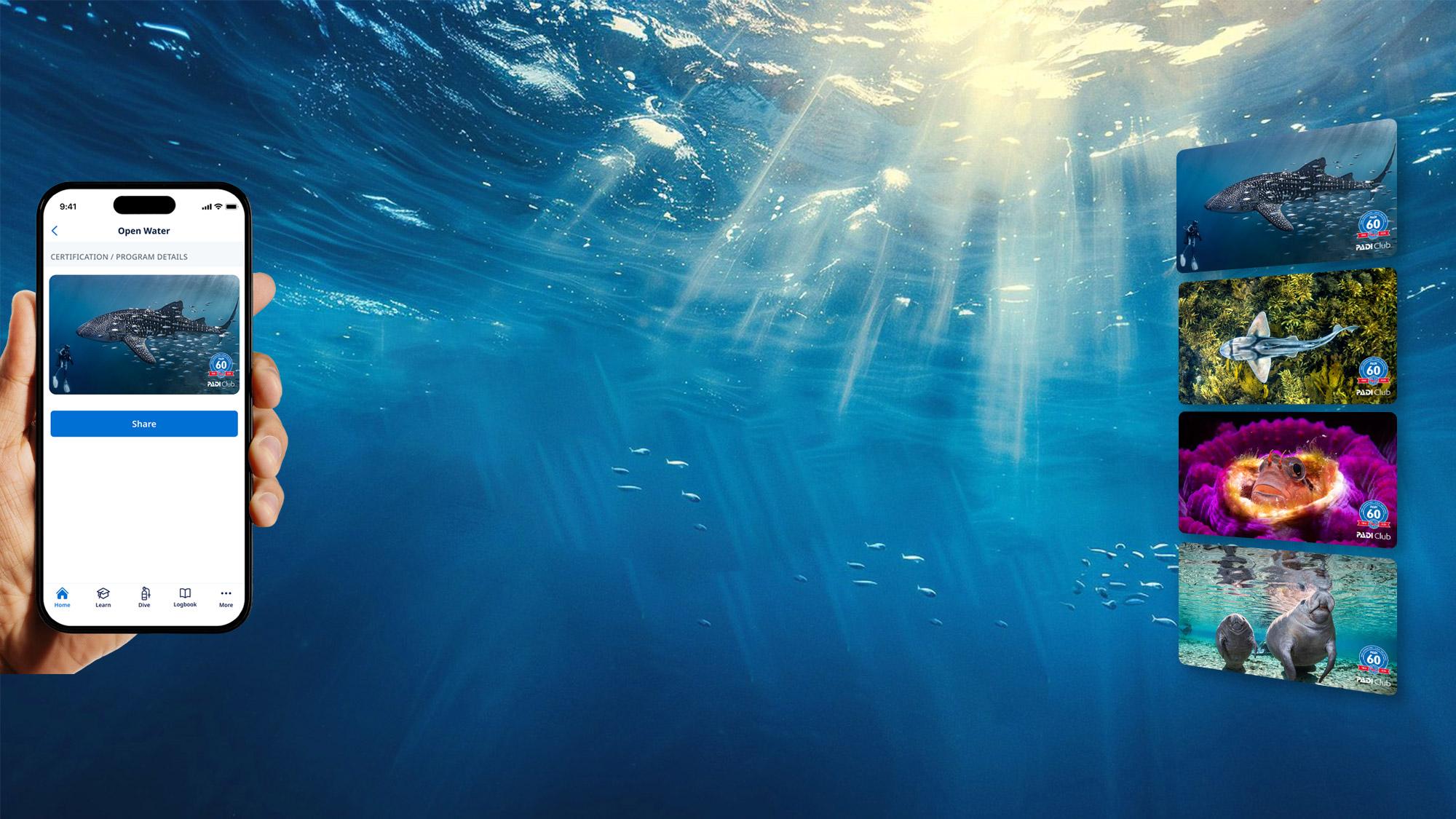 PADI Club 60th Anniversary