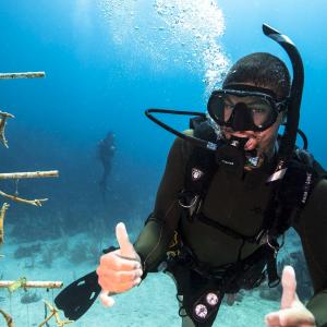 Conservation des océans