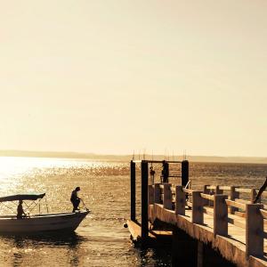 Centres de plongée et Resorts