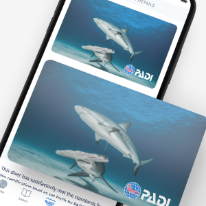 บัตรรับรอง