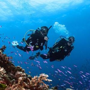 Qu'est-ce que le Club PADI ?