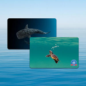 The Ocean Wonders Certification Card Collection Is Here!