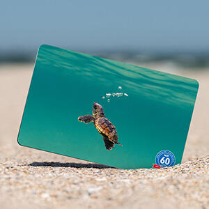The Ocean Wonders Certification Card Collection Is Here!