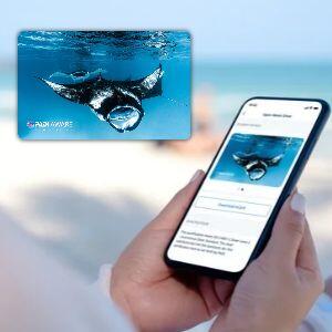 The Ultimate Certification Card Combo